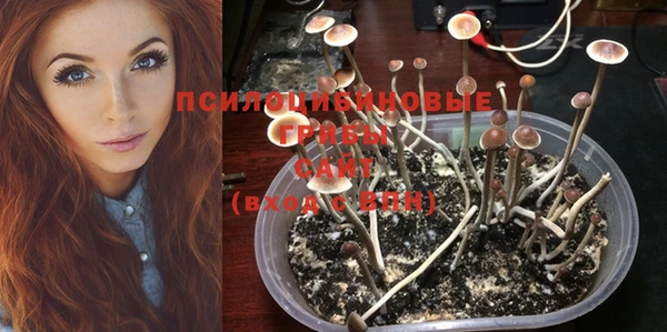 МДПВ Алексеевка