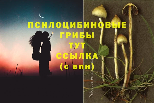 каннабис Абаза