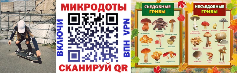 Псилоцибиновые грибы Cubensis  Зуевка 